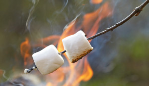 Marshmallows braden 